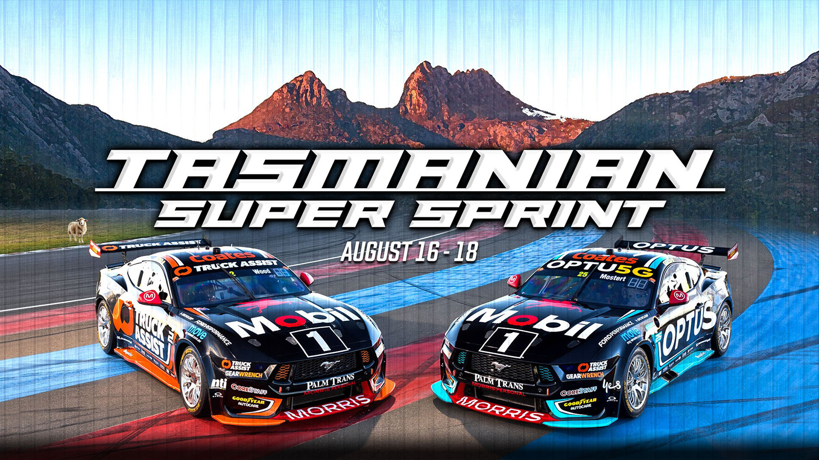 The Prebrief: Tasmania SuperSprint